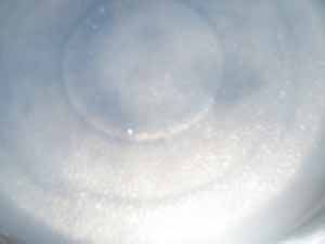 木瓜牛奶西米露