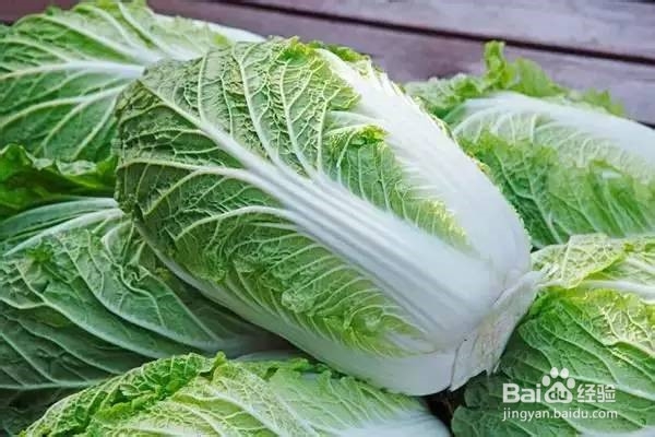如何选购白菜？