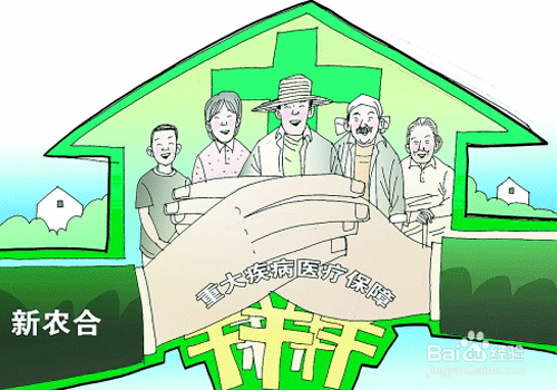什么是新农合大病救助？大病救助标准是什么？