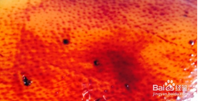 如何做出美味的梅菜扣肉