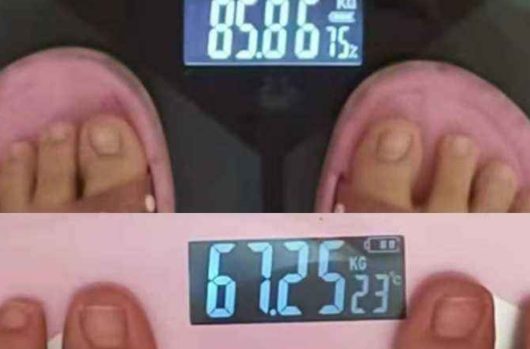 体重的基数是什么
