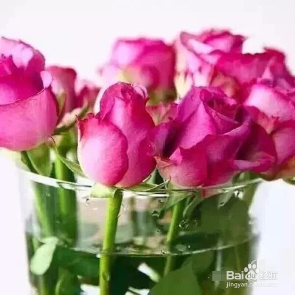 鲜花怎么养护会活得长一点