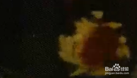 万用菜汁之糖醋汁