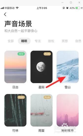 潮汐app专注没有声音怎么办