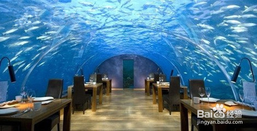 2019年春节厦门旅游攻略