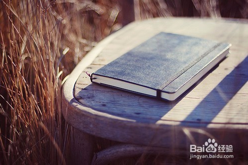 如何有意义的过完大学生活