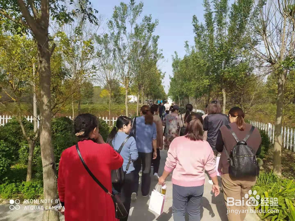 组团来许昌鄢陵,来浪漫步庭玫瑰农庄团餐超值