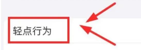 iPhone14怎么更改切换控制的轻点行为