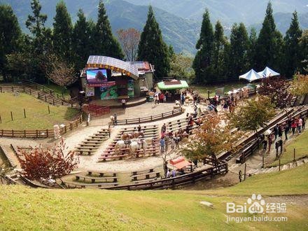 如何建设多元化农场