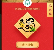 如何正确使用支付宝沾福卡,花花卡、敬业福easy