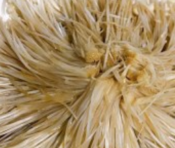 油泼金针菇怎么做