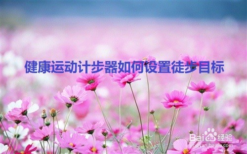健康运动计步器如何设置徒步目标