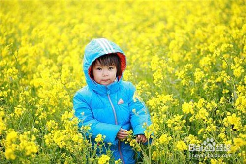 2018清明节假期怎样安排清明假期怎样放假