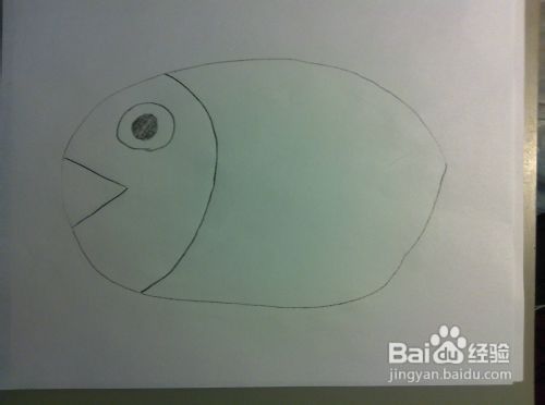 教你画动物——小鱼