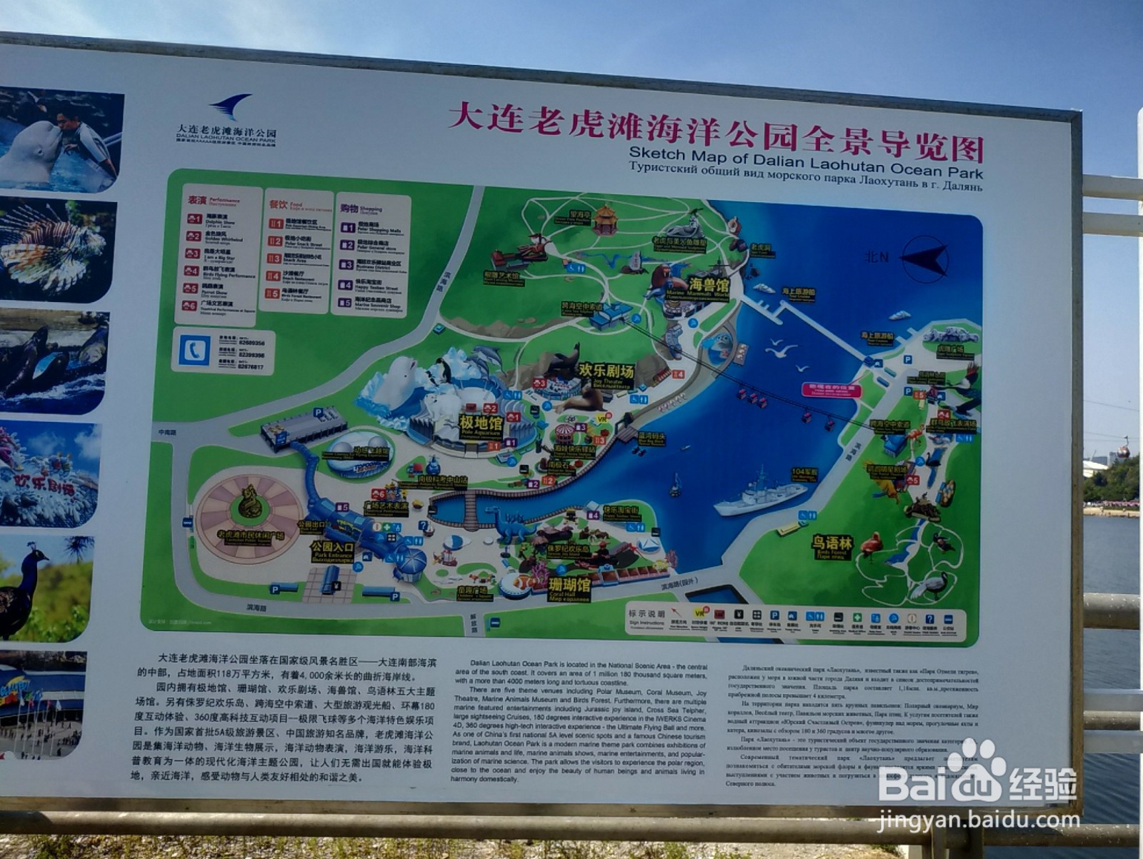 大连老虎滩一日游攻略