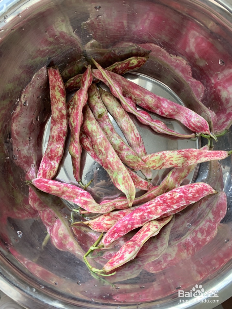我给姐姐做芸豆灵魂法