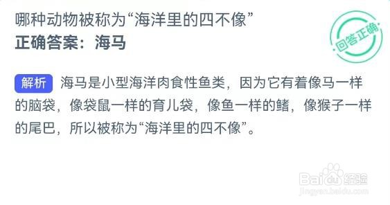 神奇海洋：哪种动物被称为“海洋里的四不像”