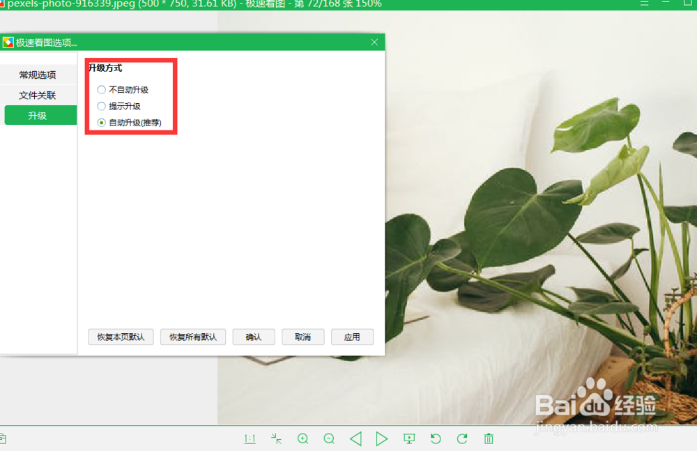 怎么设置极速看图的升级方式？