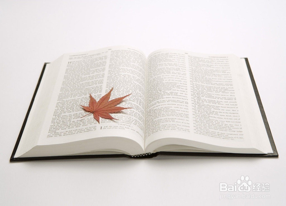 怎样从头开始学习英语