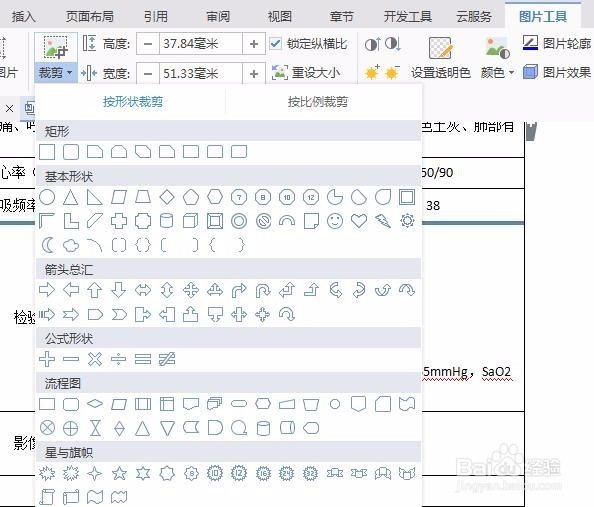 怎么在word里自定义插入图片和剪裁图片