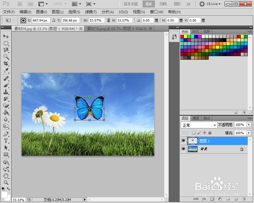 photoshop速成详解,如何利用自由变换制作蝴蝶