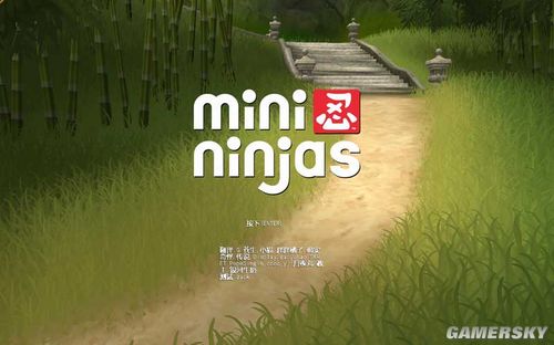 《迷你忍者》游戏攻略与经典视频经验分享