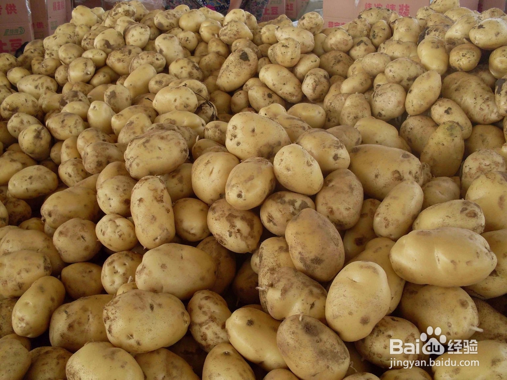 有什么方法能让马铃薯增产？