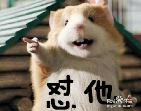 “怼”和“怂”的真正意义