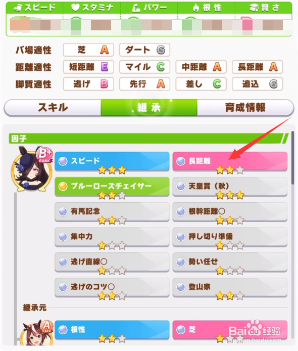 赛马娘特别周怎么养