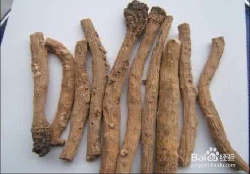 板蓝根的作用及食用禁忌