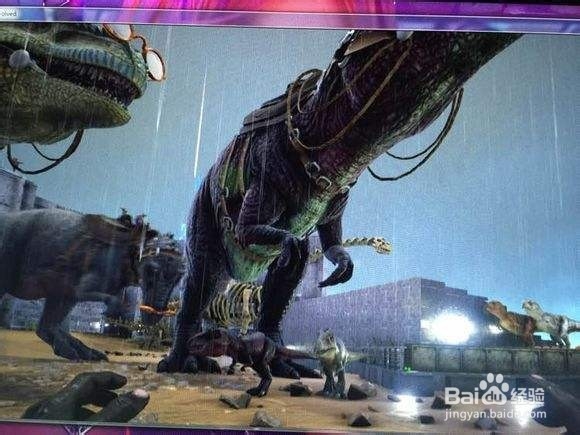 方舟南方巨兽龙怎么抓