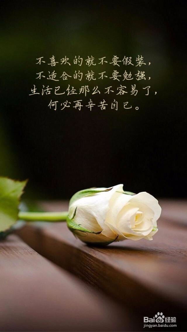 穿越时空的护肤之旅