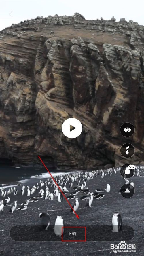 小米6手机怎么设置动态壁纸锁屏？