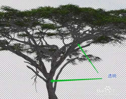 如何抠大树，用色彩范围抠出背景复杂的树
