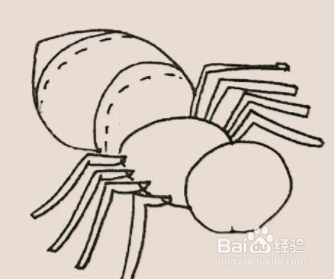 手绘简笔画之蜘蛛的画法