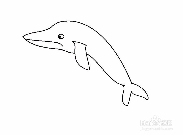 简笔画海豚的画法
