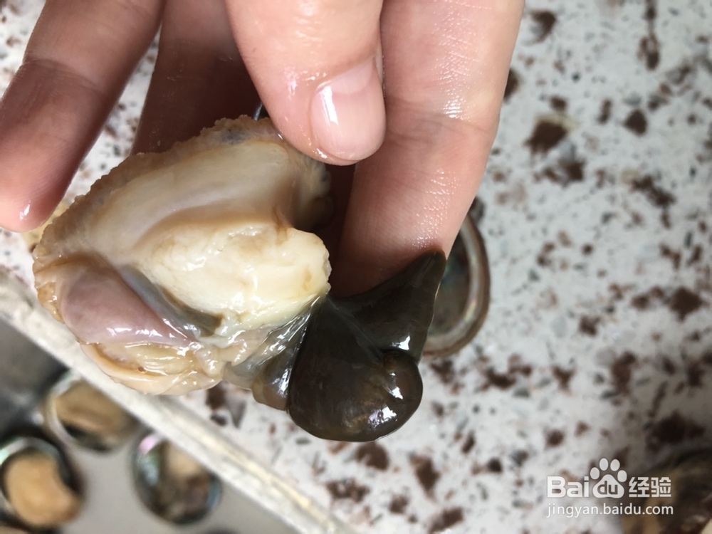 我给姐姐做鲍鱼