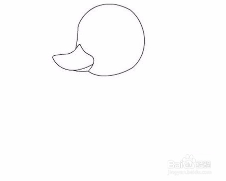 鸭子的简单画法