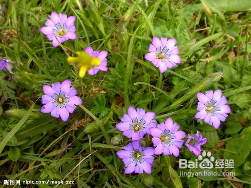 早泻的治疗方法