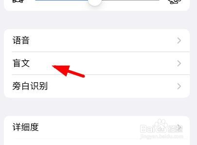 苹果13盲文输出配置为非简写八点式盲文