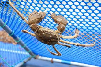 阳澄湖自驾旅游攻略