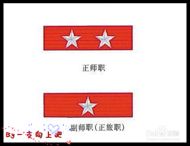 教你轻松看懂军人级别资历章、资历架、资历牌