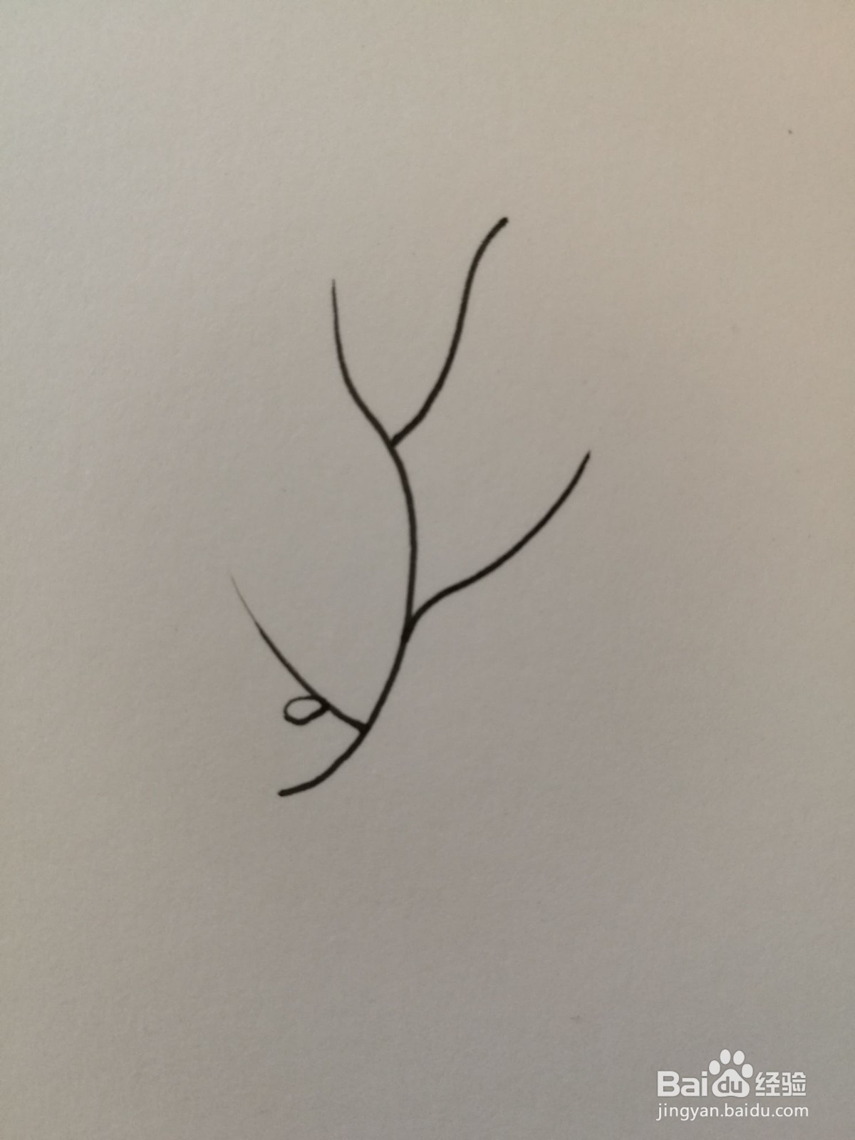 小草简笔画之画法六