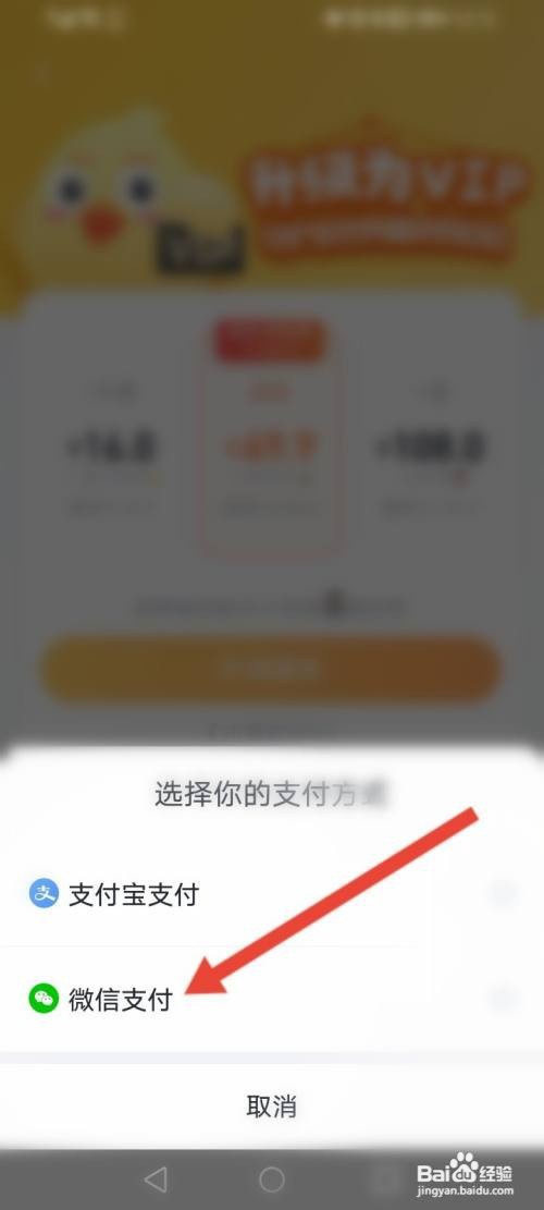 如何开通叨叨记账的会员