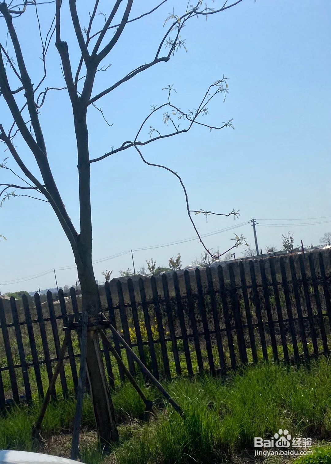 无锡植物大战僵尸农场旅游攻略