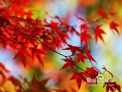 慢性咽炎的诱发因素