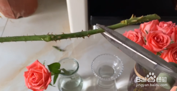 鲜花蔫了怎么快速急救