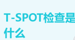 t-spot检查中文叫什么