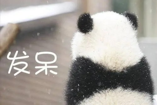 闲得无聊的幽默句子