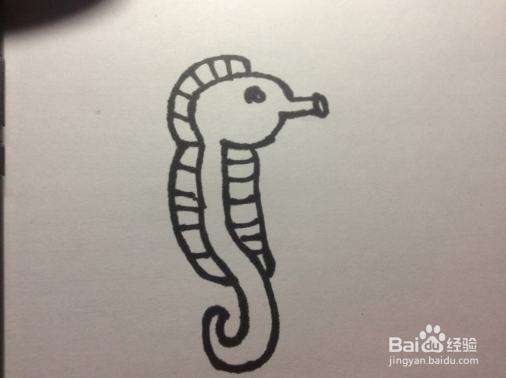 怎么画海马?海马那些简笔画怎么画呢?